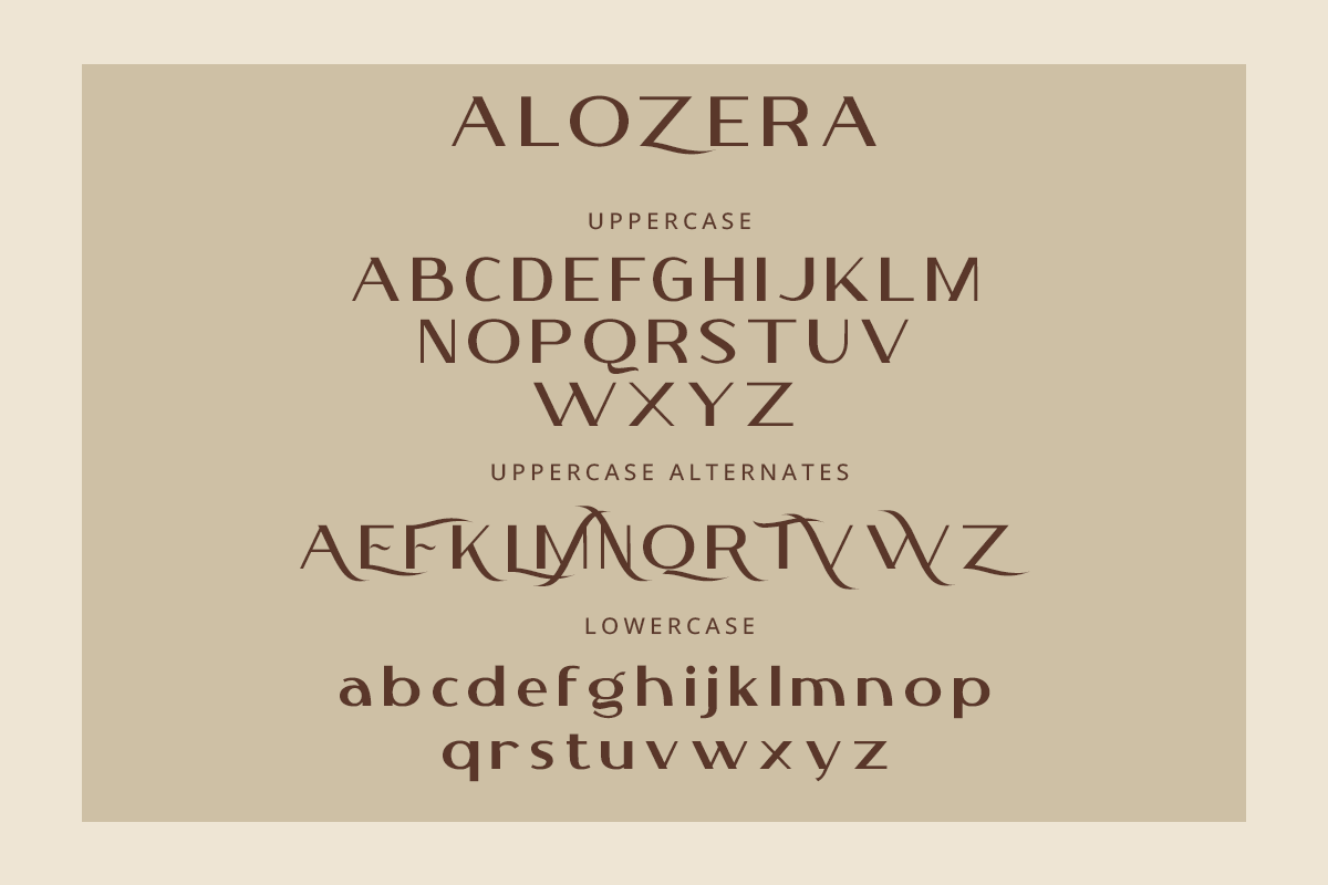 Alozera Modern Sans Serif Font - Image 8