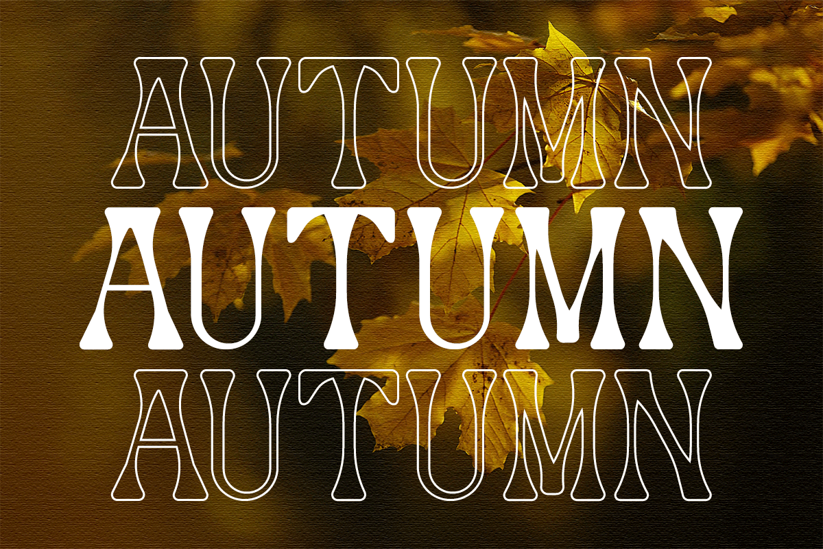 Autumn Modern Serif Font - Image 5