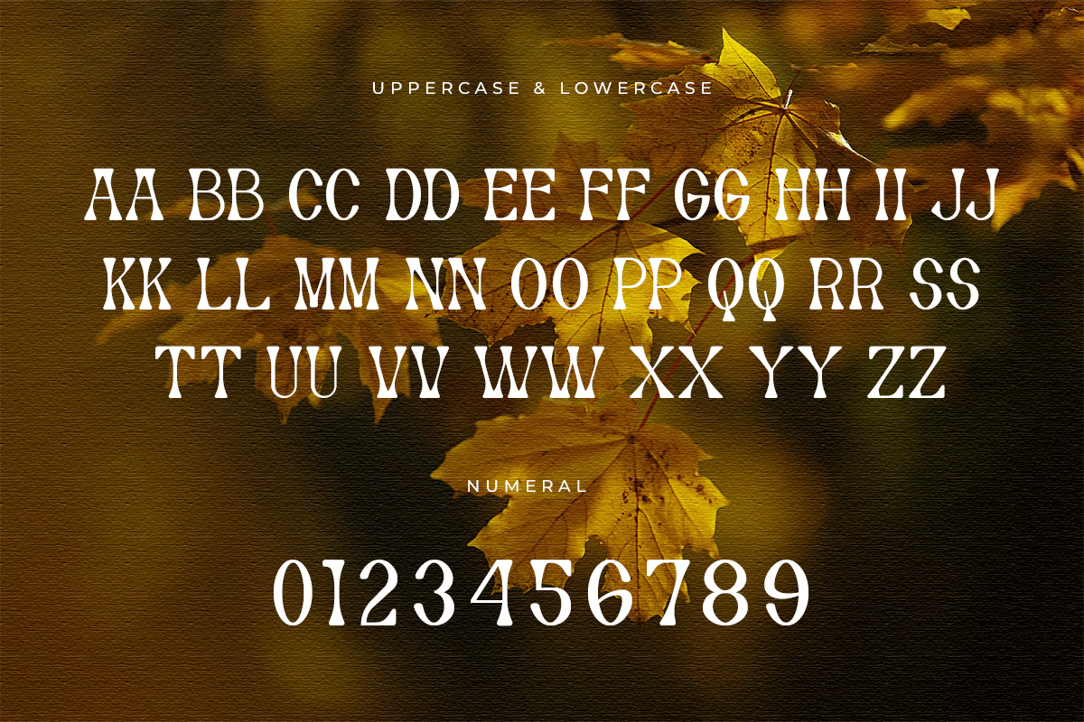 Autumn Modern Serif Font - Image 6