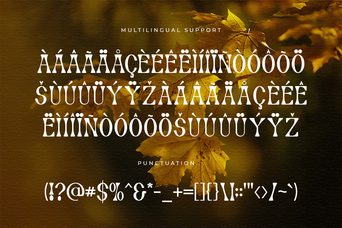 Autumn Modern Serif Font - Image 7