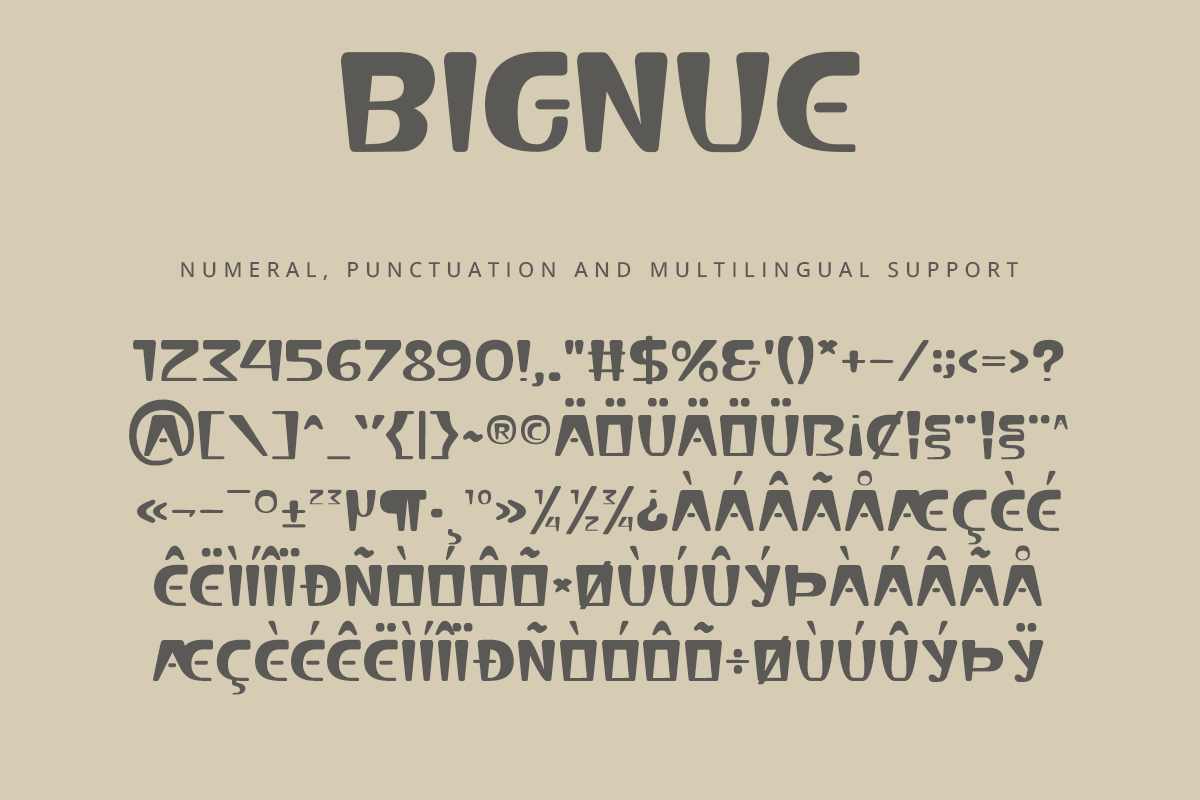 Bignue Modern Display Font - Image 11