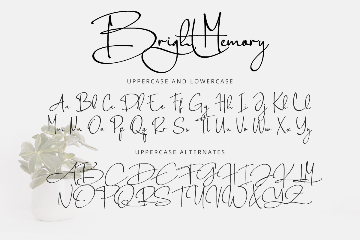 Bright Memory Modern Signature Font - Image 9