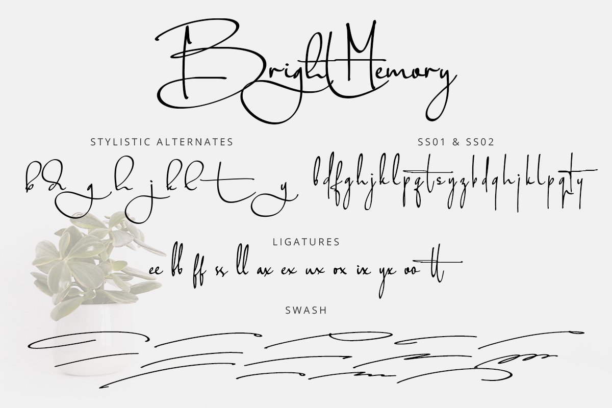Bright Memory Modern Signature Font - Image 10