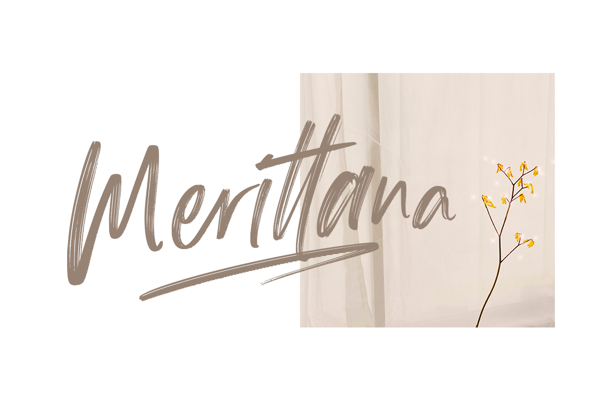 Hallein Classy Script Brush Font - Image 4