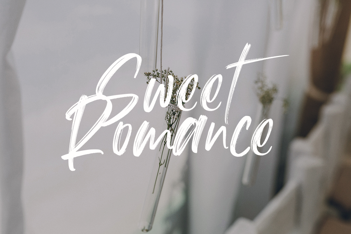 Hallein Classy Script Brush Font - Image 5