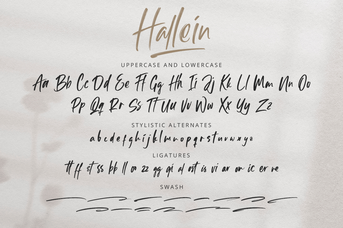 Hallein Classy Script Brush Font - Image 9