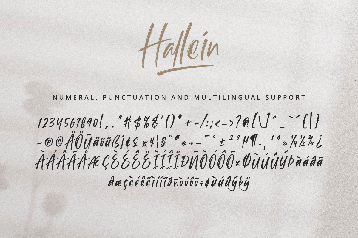 Hallein Classy Script Brush Font - Image 10
