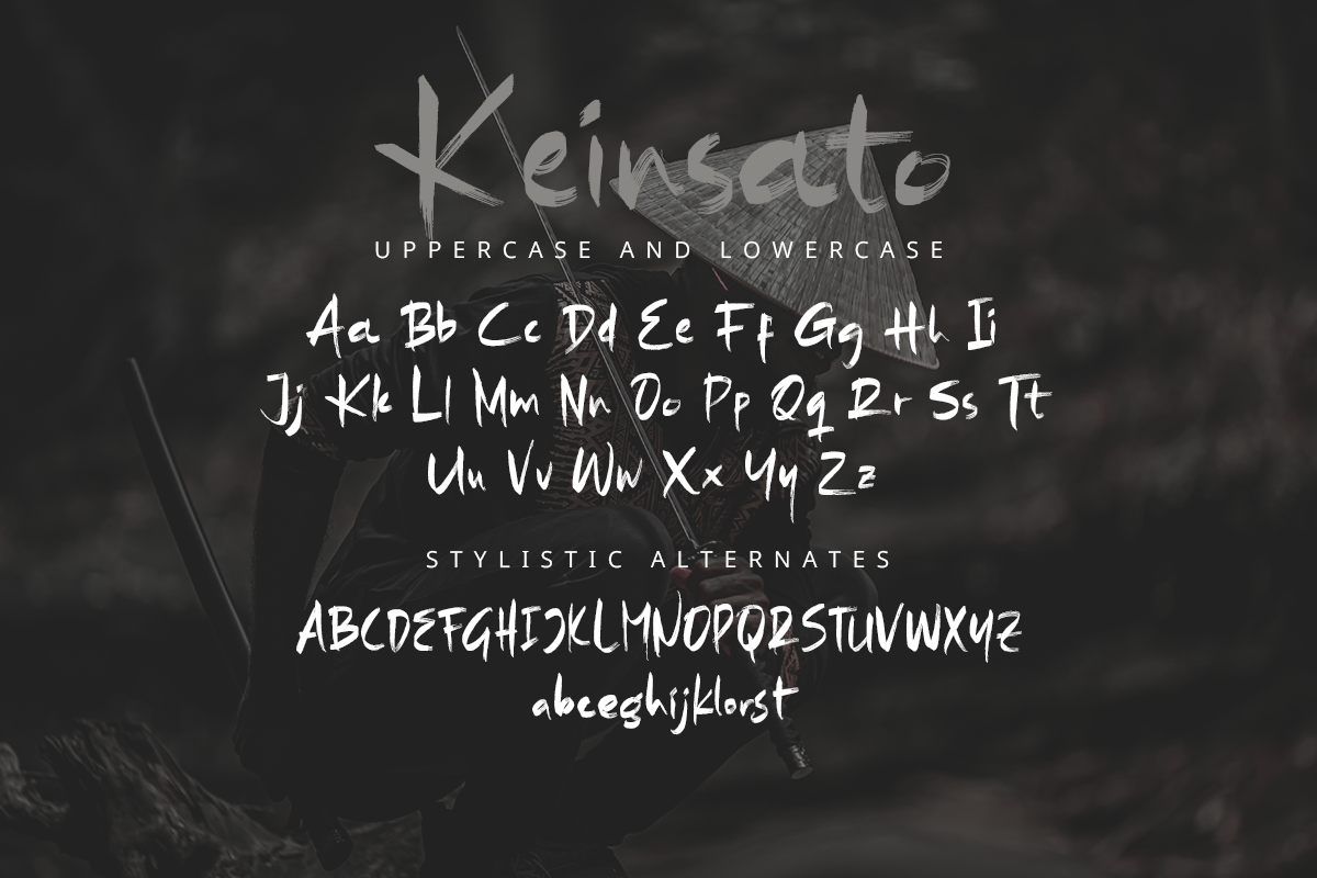 Keinsato Modern Brush Font - Image 9