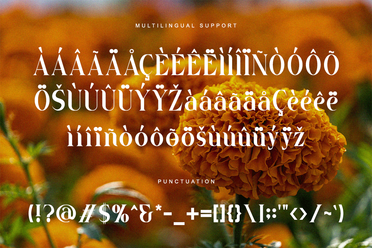 Marigold Classy Serif Font - Image 7
