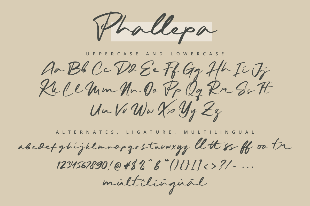 Phallepa Modern Handwritten Font - Image 9