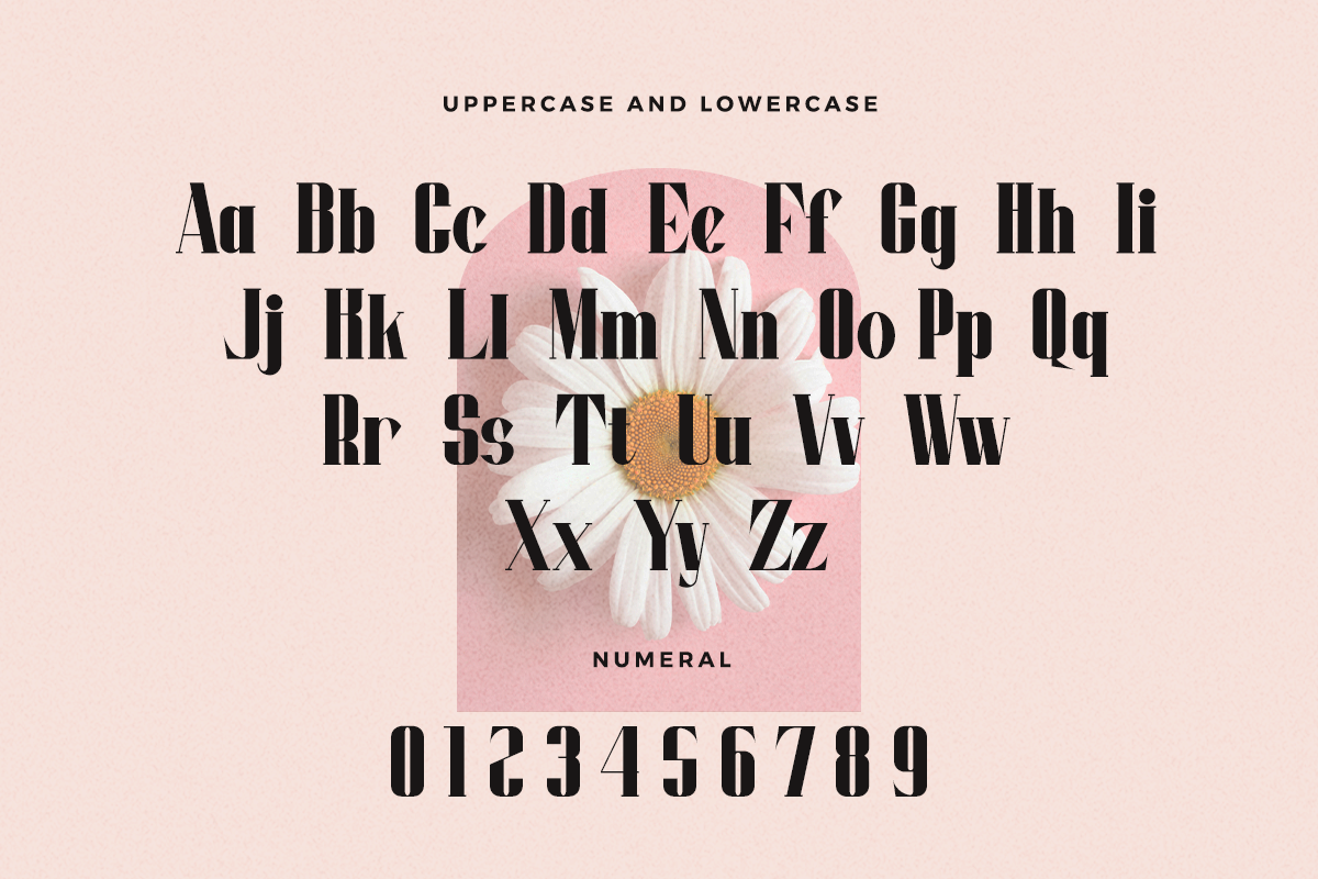 Moonlight Modern Serif Font - Image 6