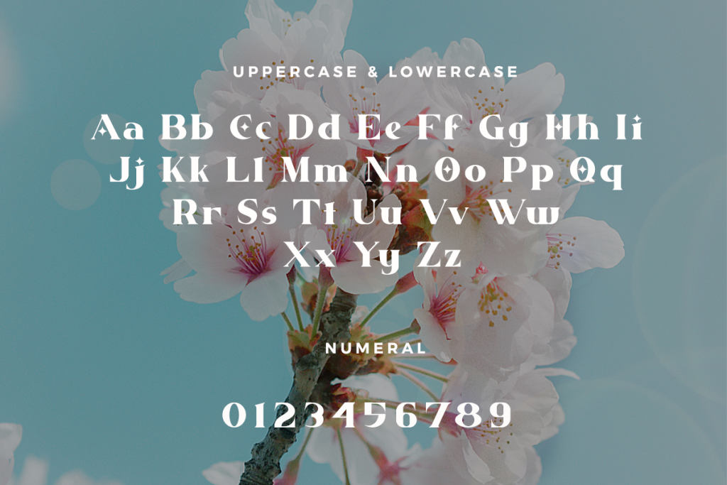 Flow Less Fount Flawless Classy Serif Font - Font Kong