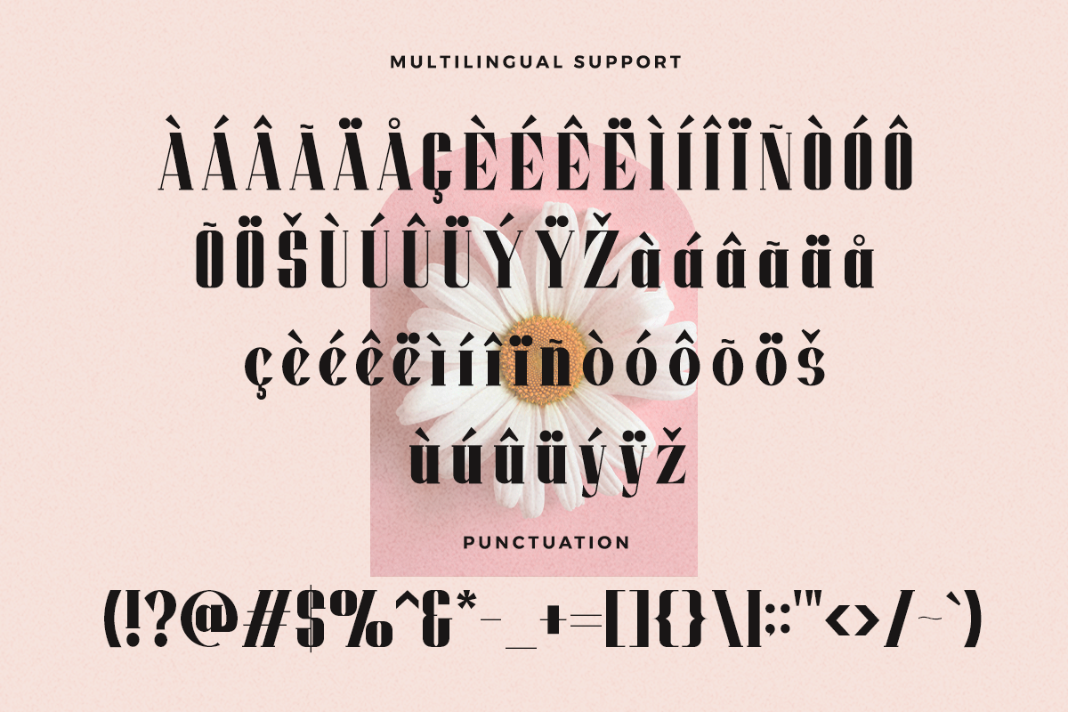 Moonlight Modern Serif Font - Image 7