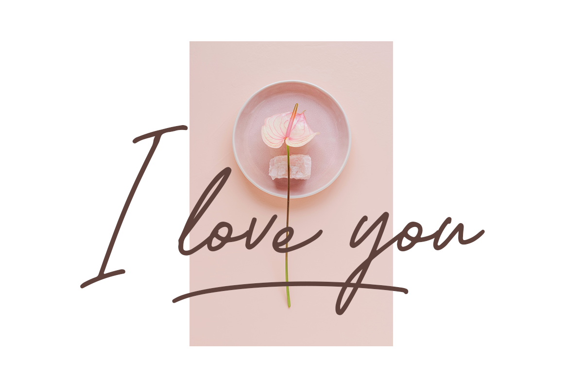 Alexanida Classy Handwritten Font - Image 4