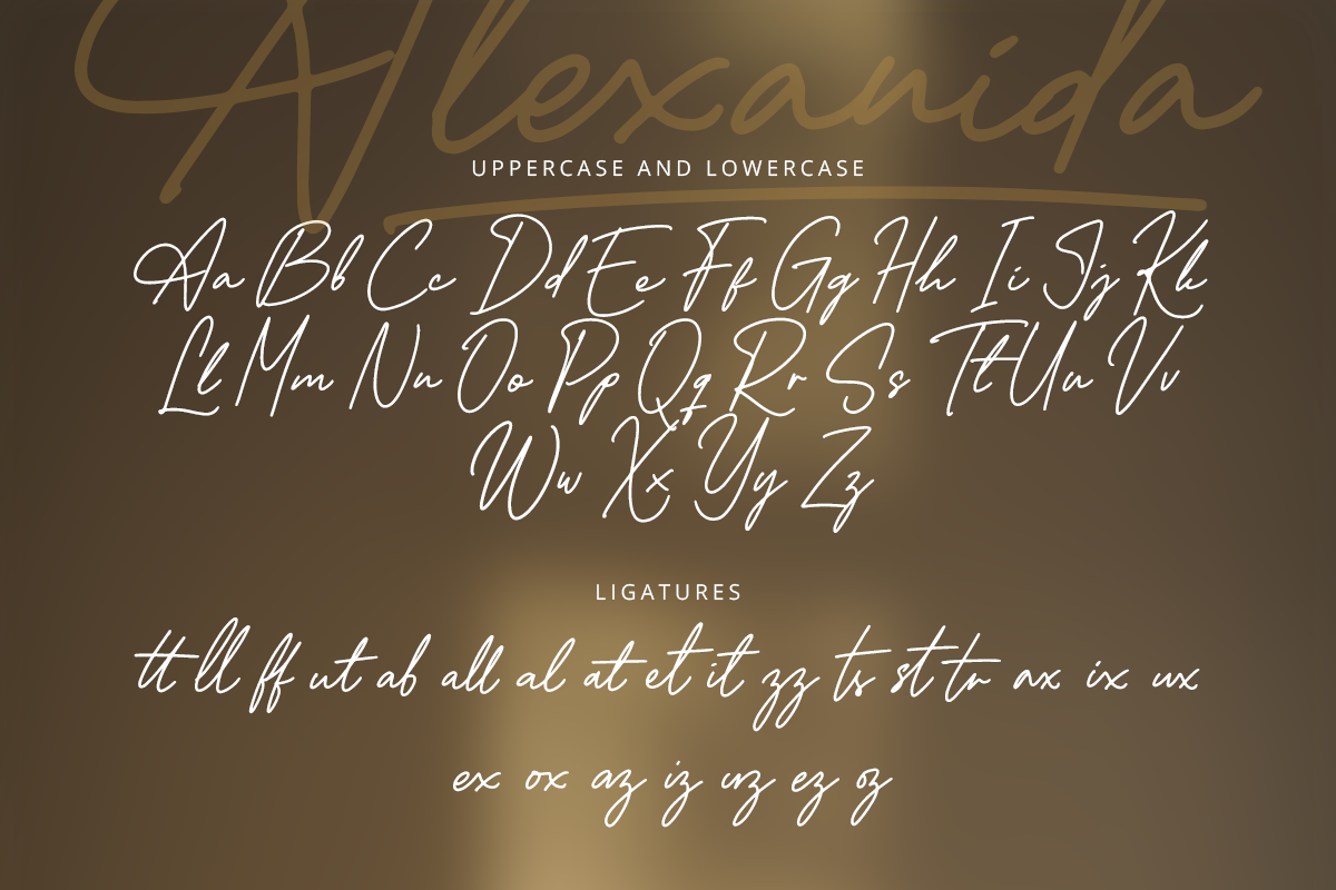 Alexanida Classy Handwritten Font - Image 8