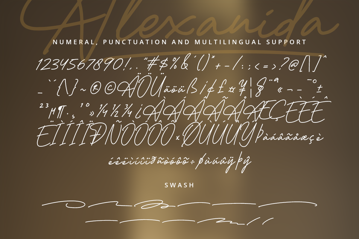 Alexanida Classy Handwritten Font - Image 9