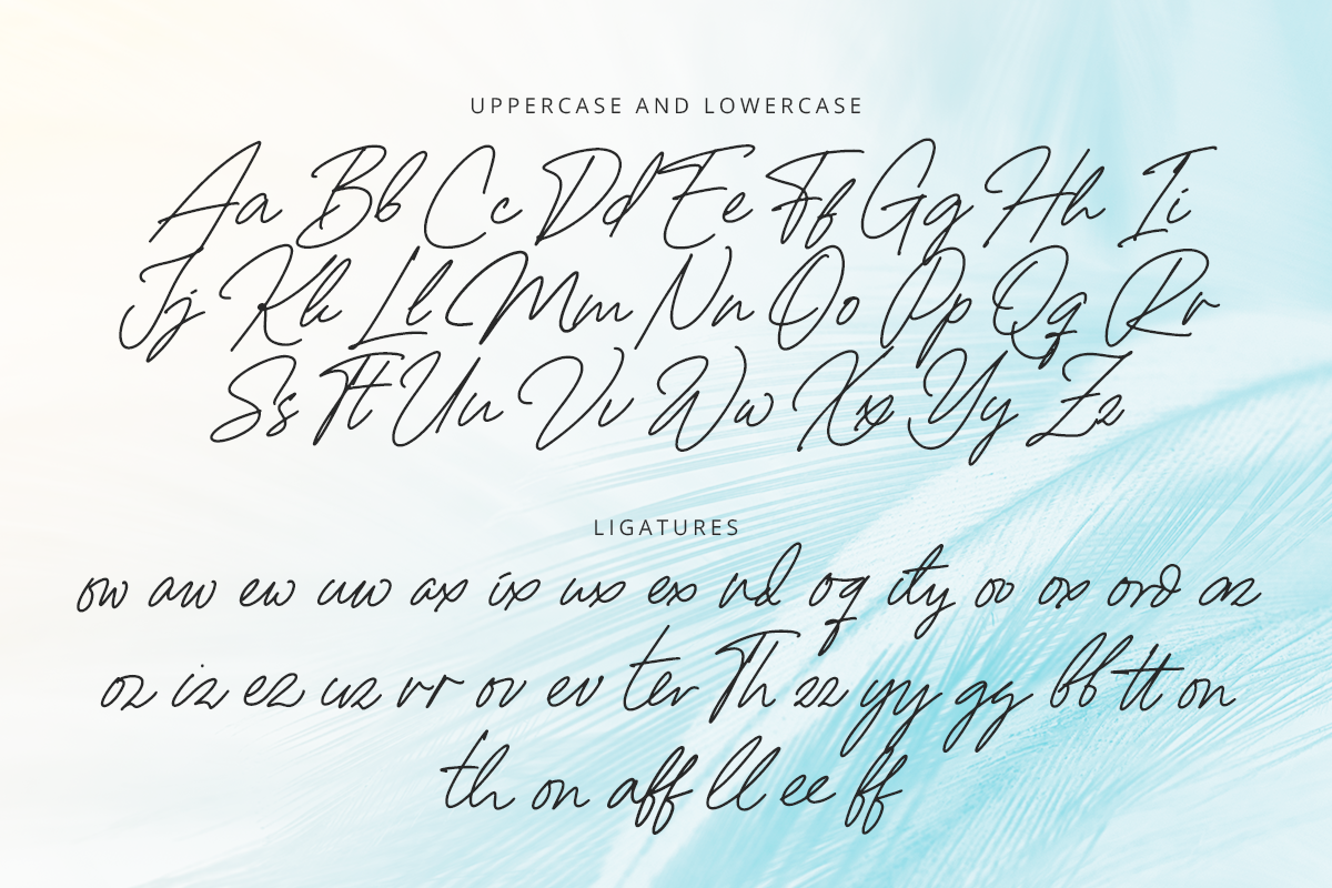 Andromecha Classy Signature Font - Image 8