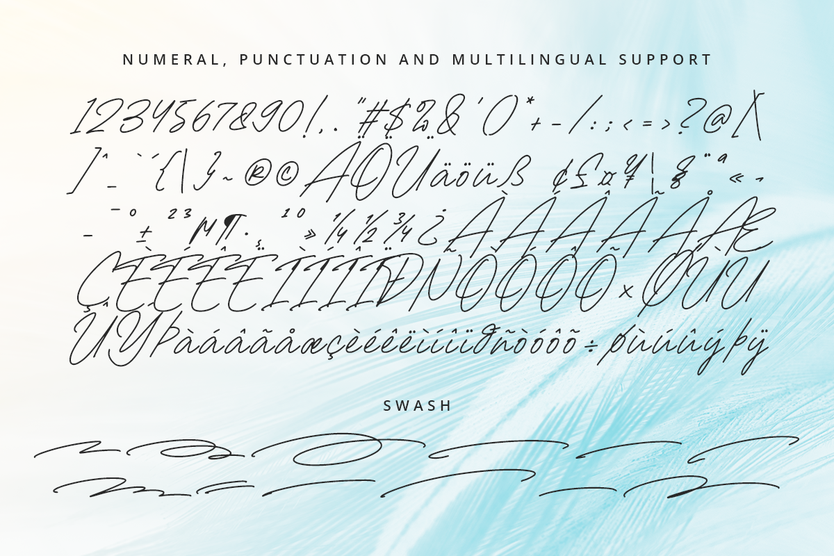 Andromecha Classy Signature Font - Image 9