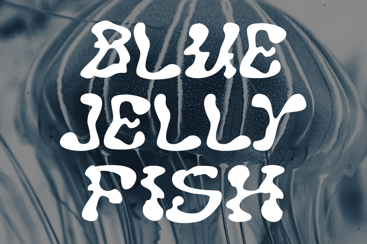 Blurity Decorative Wave Font - Image 3