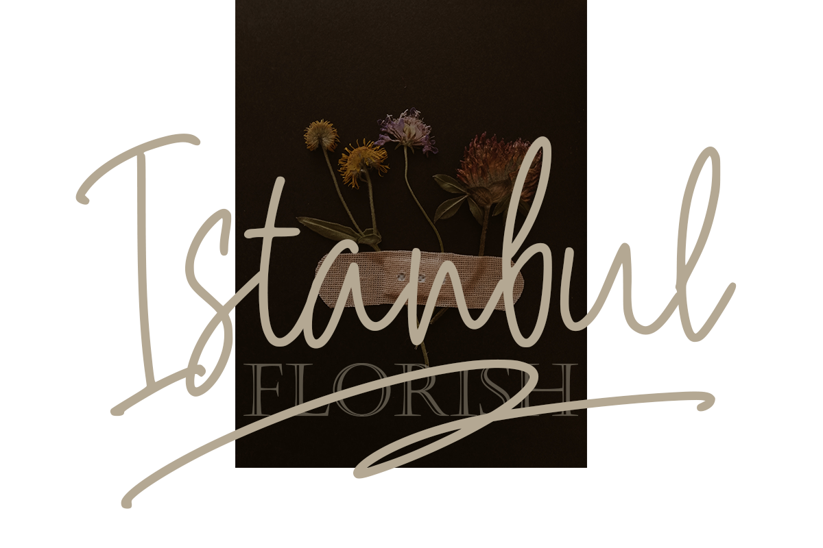 Brightany Classy Handwritten Font - Image 3