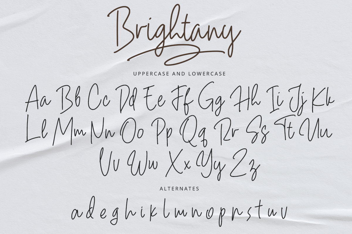 Brightany Classy Handwritten Font - Image 9