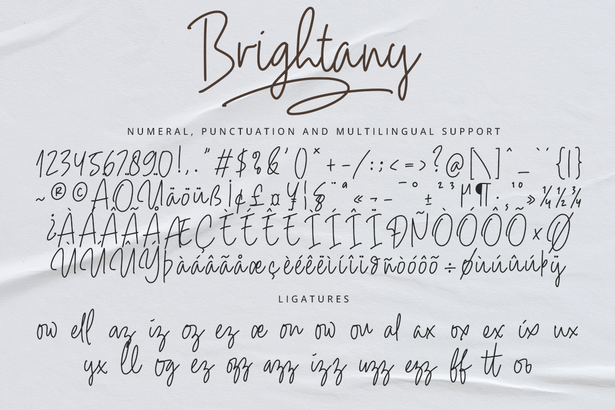 Brightany Classy Handwritten Font - Image 10