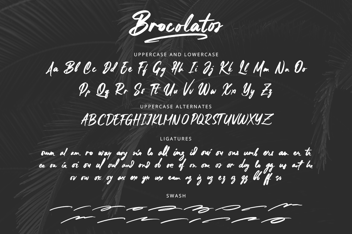 Brocolatos Modern Script Brush Font - Image 8