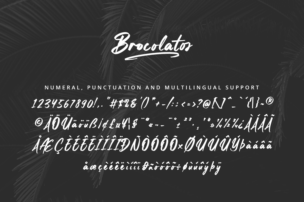 Brocolatos Modern Script Brush Font - Image 9