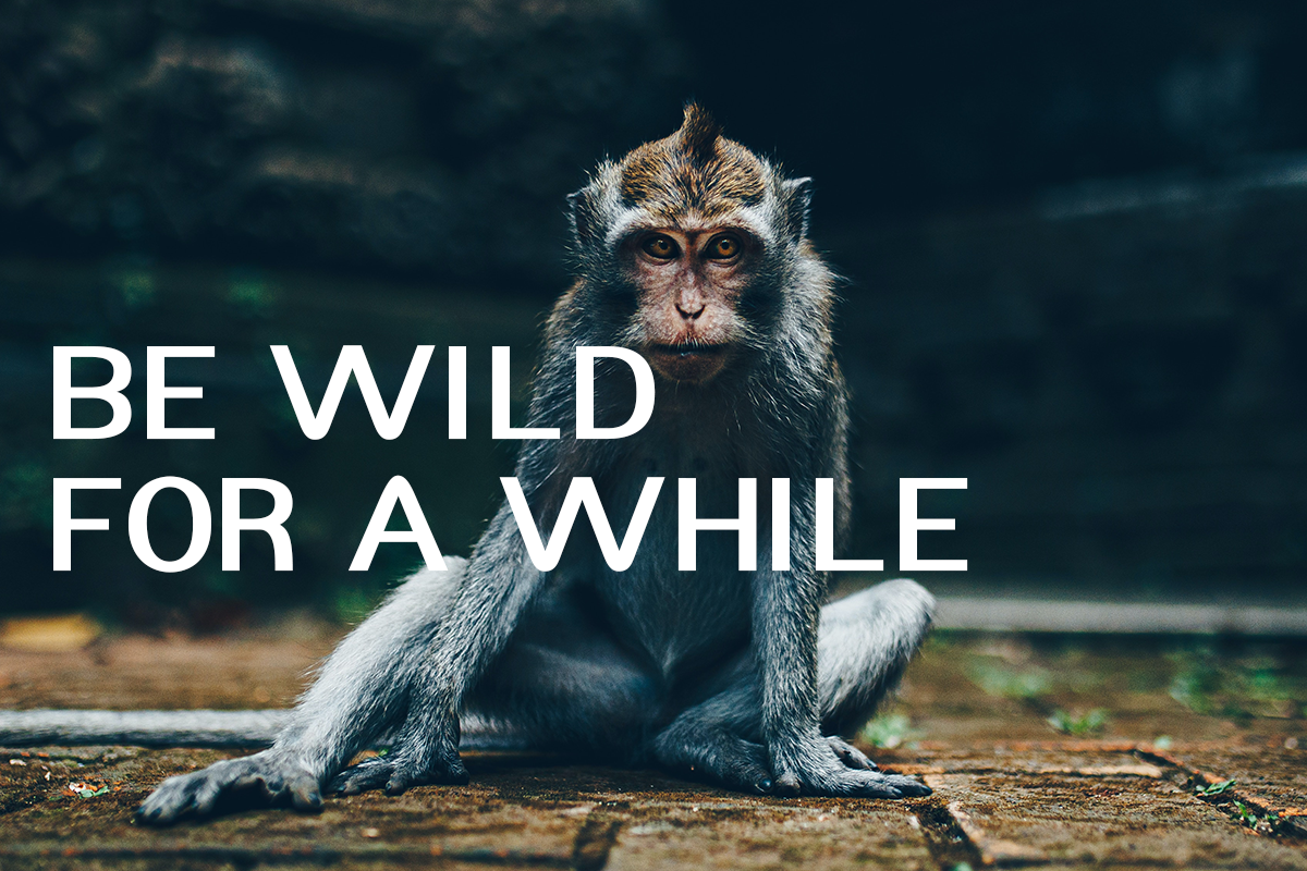 Clavoe Modern Sans Serif Font - Image 6