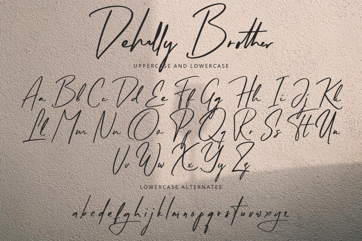 Dehally Brother Classy Script Font - Image 9
