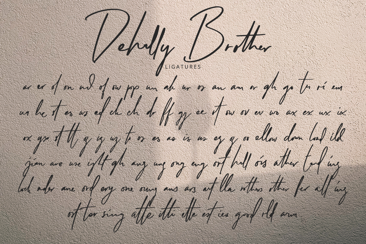 Dehally Brother Classy Script Font - Image 10