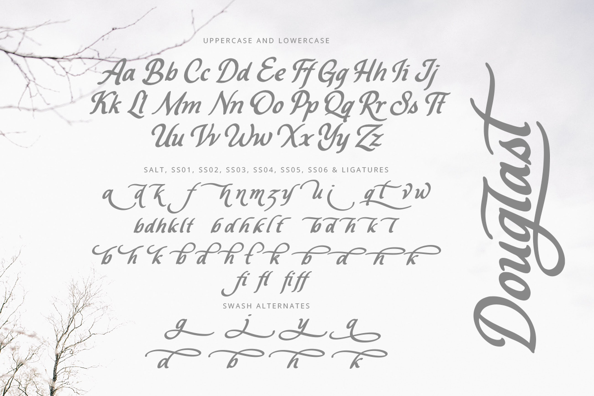 Douglast Modern Script Font - Image 8
