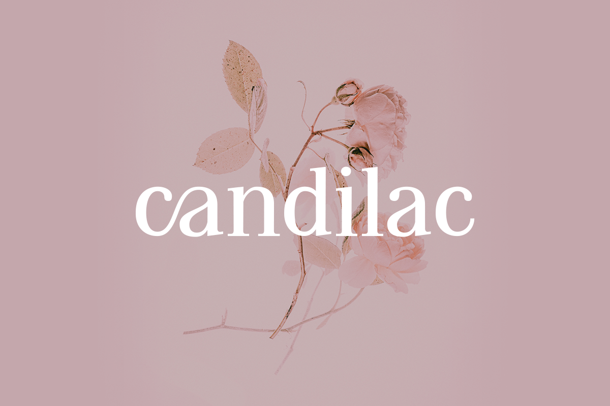 Fineta Modern Serif Font - Image 3