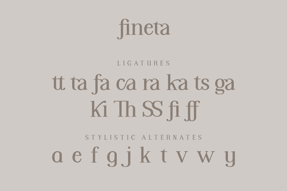 Fineta Modern Serif Font - Image 9