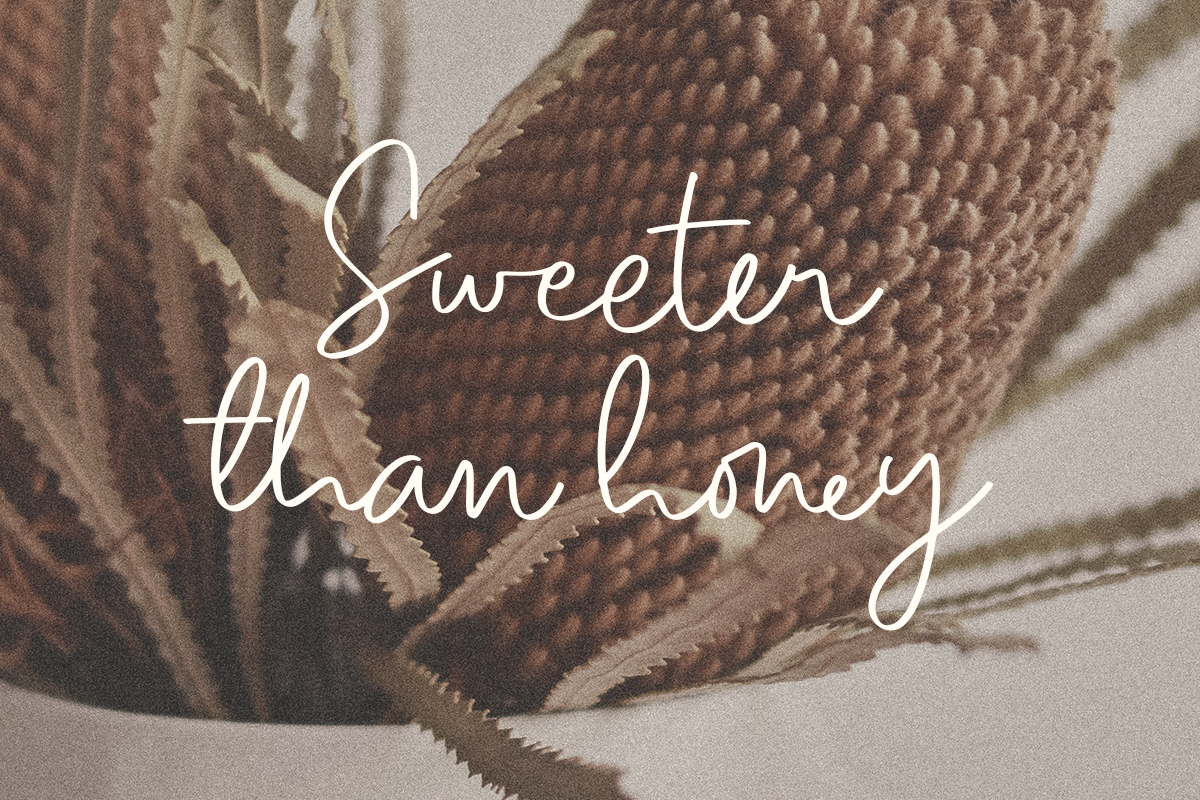 Julianty Modern Script Font - Image 3