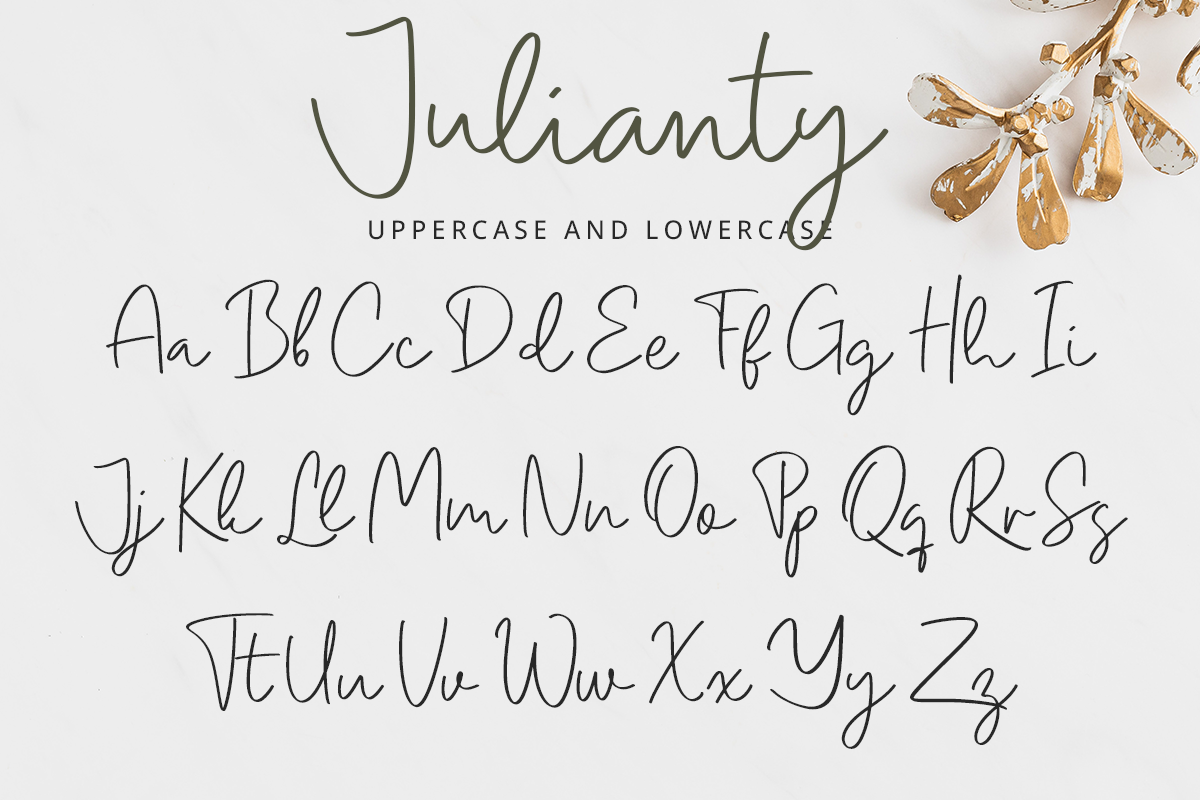 Julianty Modern Script Font - Image 8