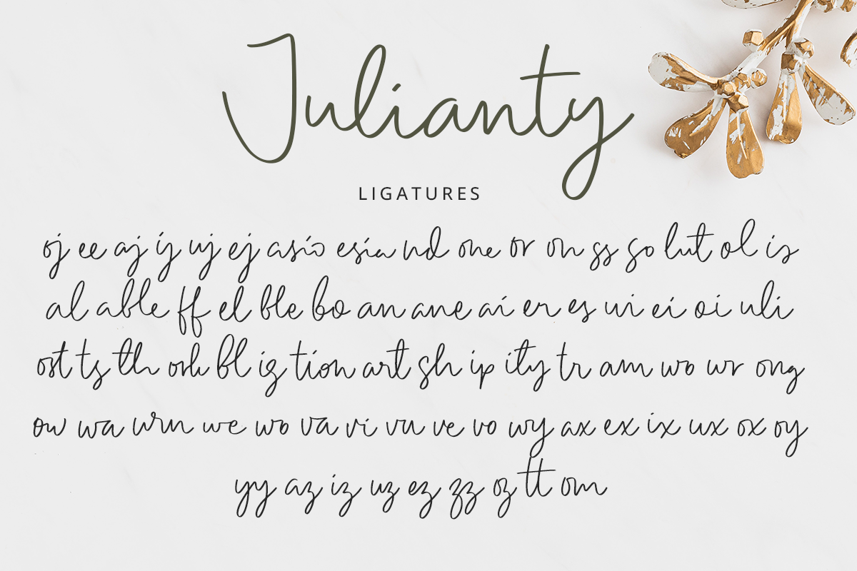 Julianty Modern Script Font - Image 9