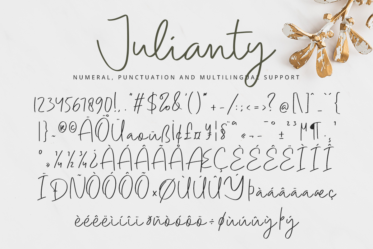 Julianty Modern Script Font - Image 10