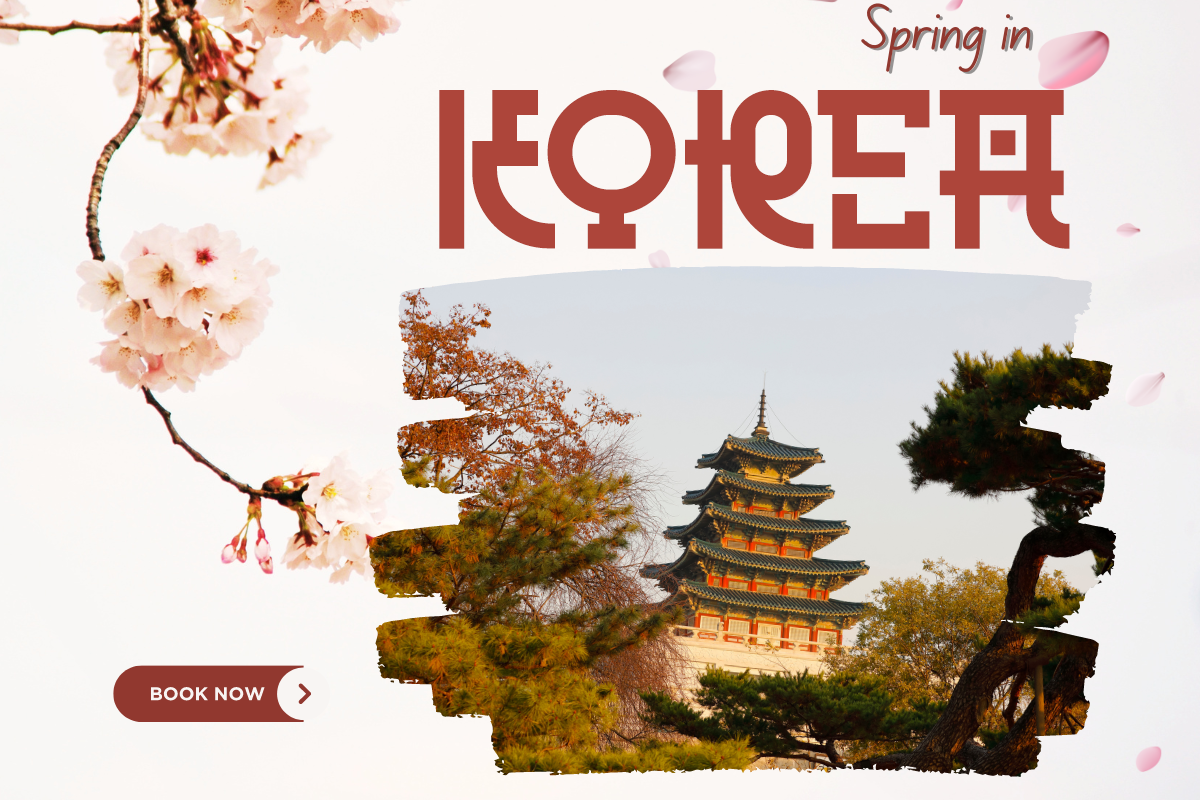 Seoul Modern Korean Font - Image 5