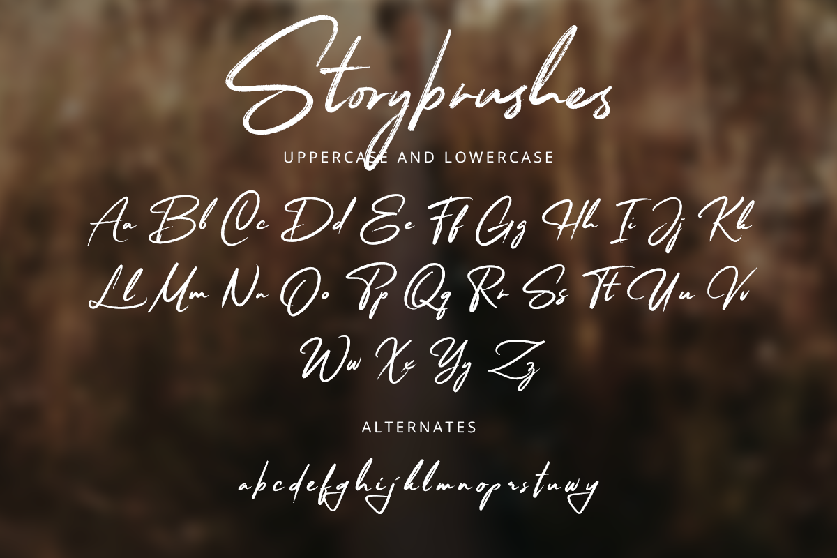 Storybrushes Classy Script Bush Font - Image 8