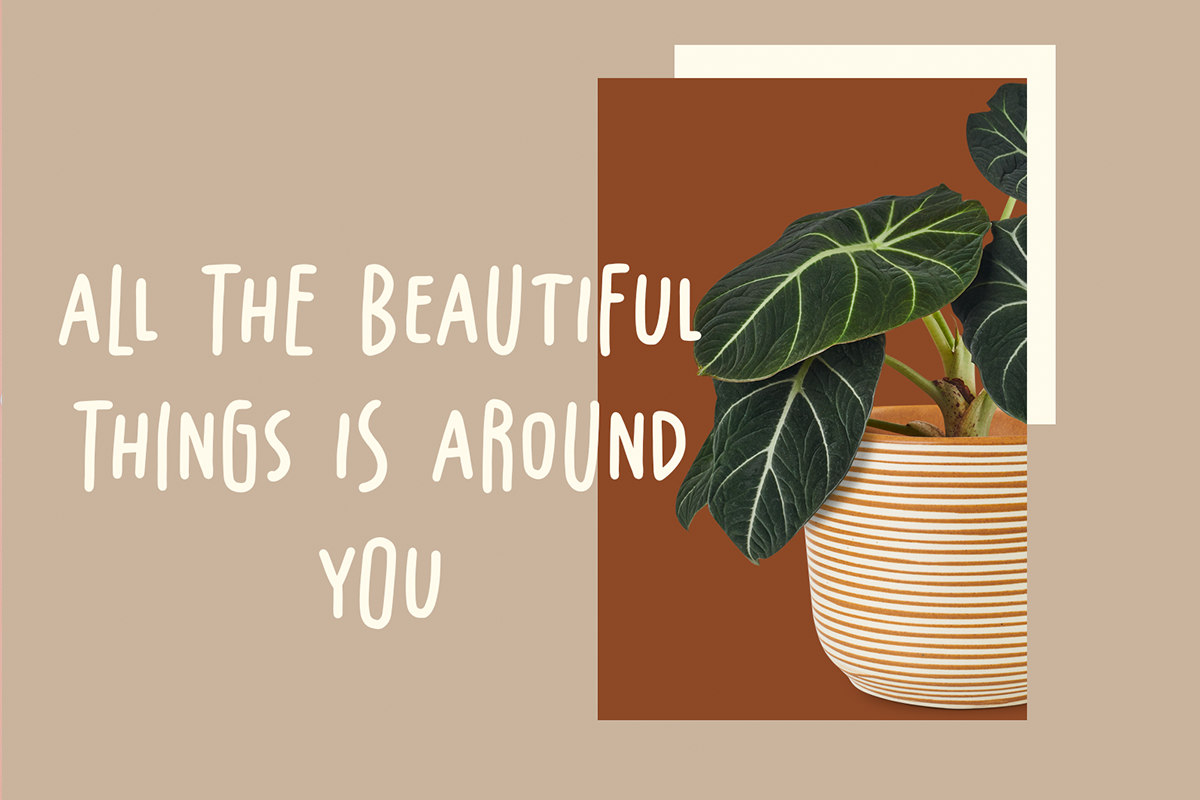 Sunday Mine Modern Kids Font - Image 7