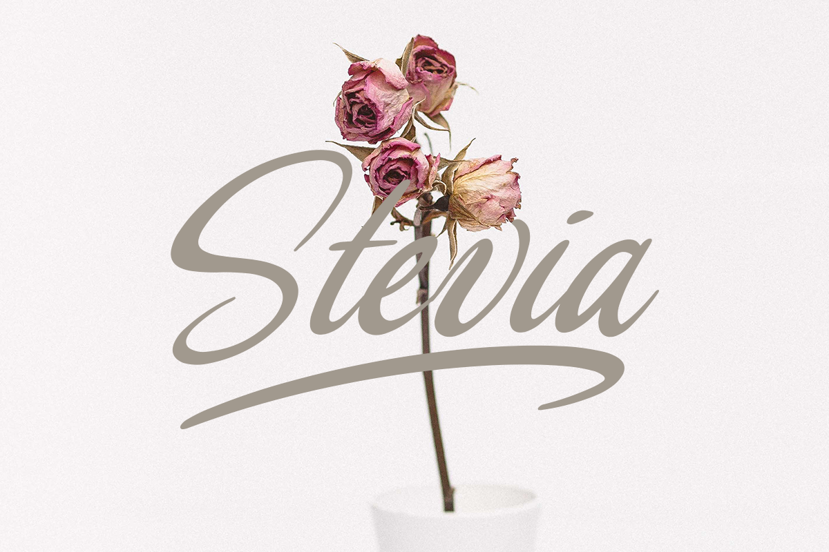 Thesta Classy Script Font - Image 5