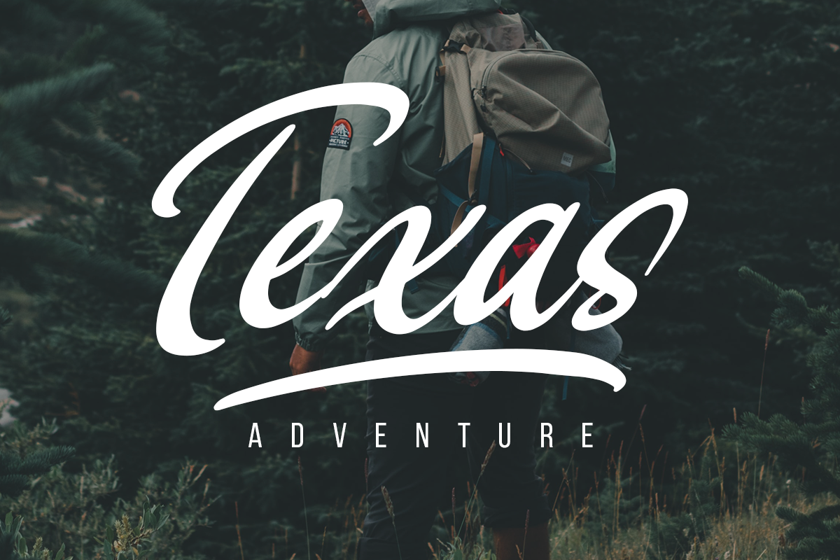 Thesta Classy Script Font - Image 7