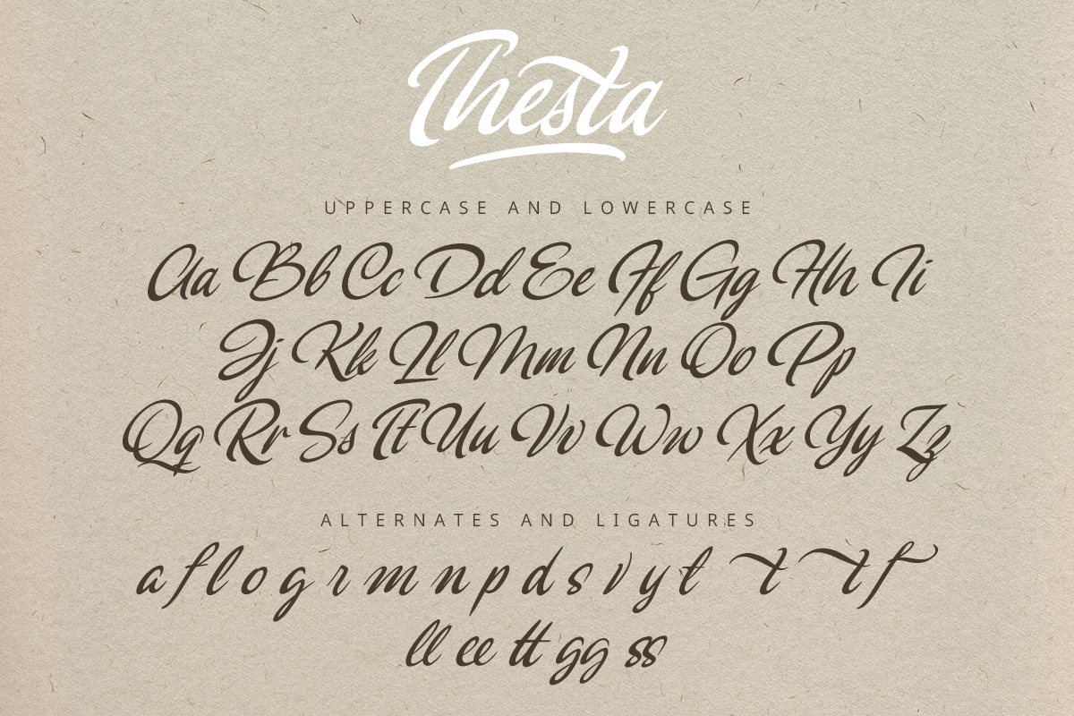 Thesta Classy Script Font - Image 8