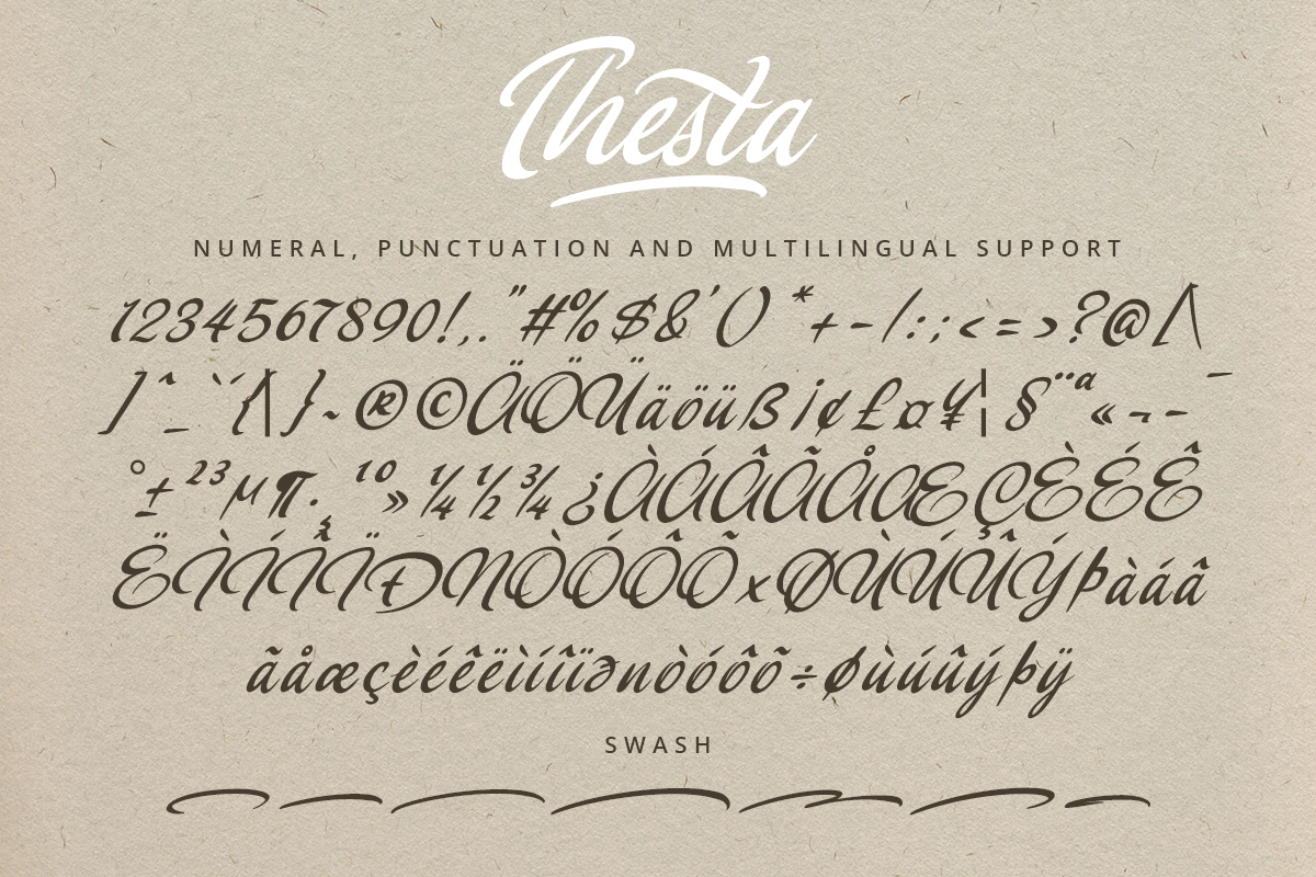 Thesta Classy Script Font - Image 9