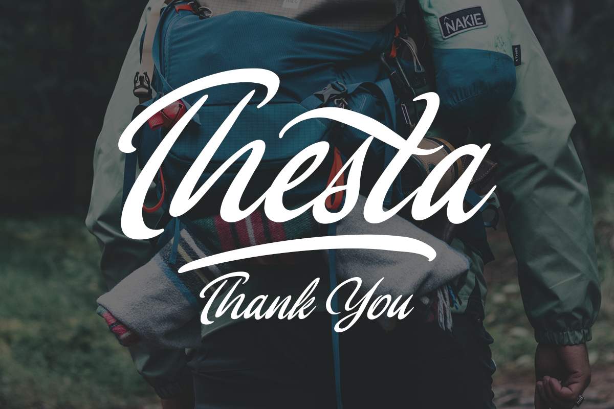 Thesta Classy Script Font - Image 10