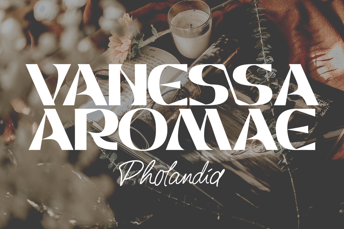 Tozza Modern Display Font - Image 3