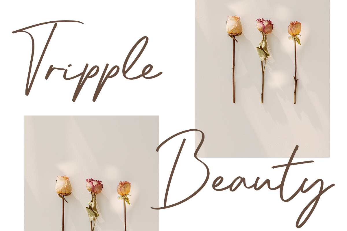 Willybery Classy Script Font - Image 5