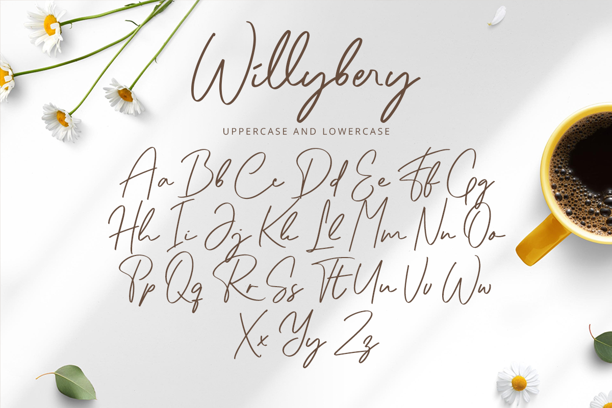 Willybery Classy Script Font - Image 8