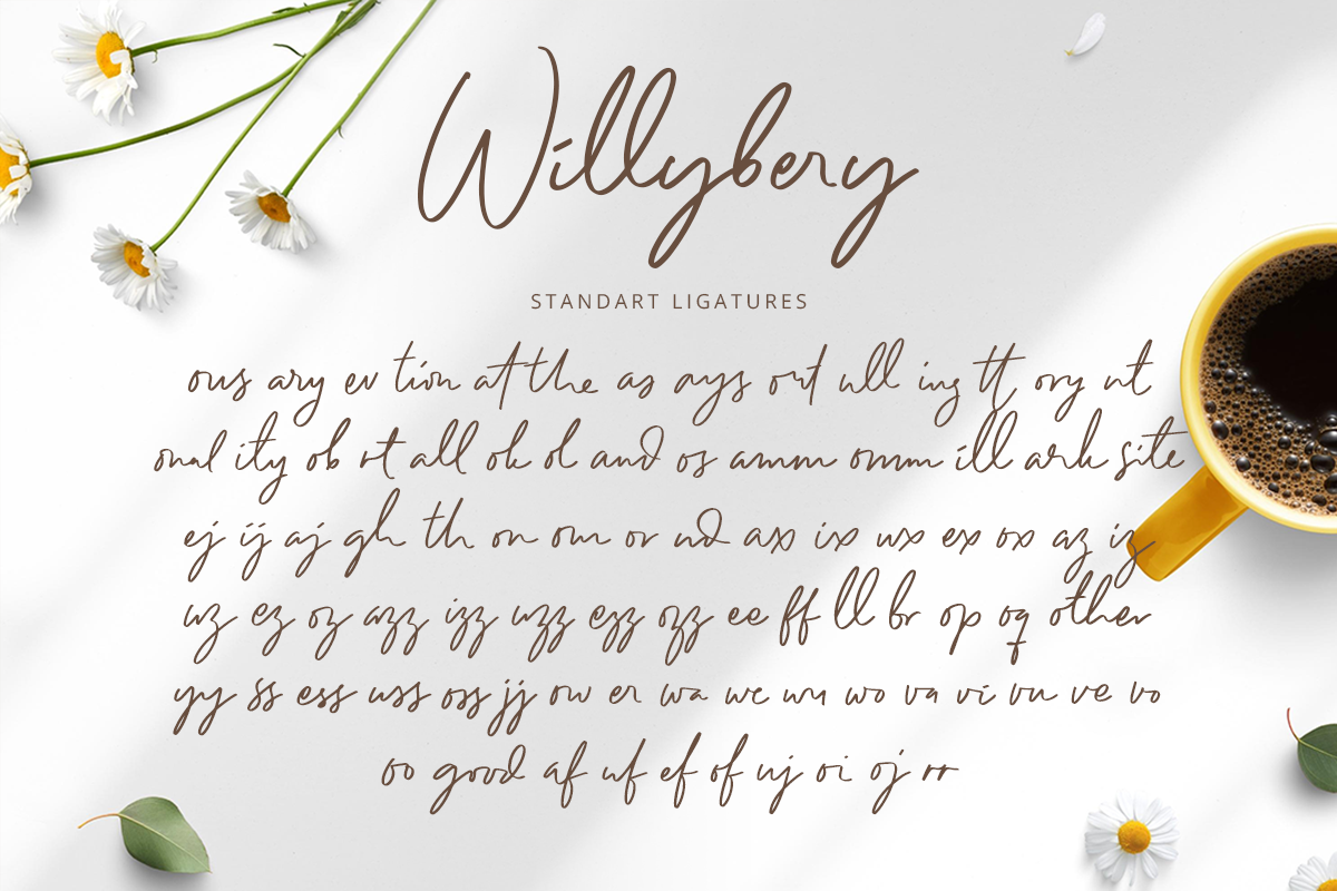 Willybery Classy Script Font - Image 9